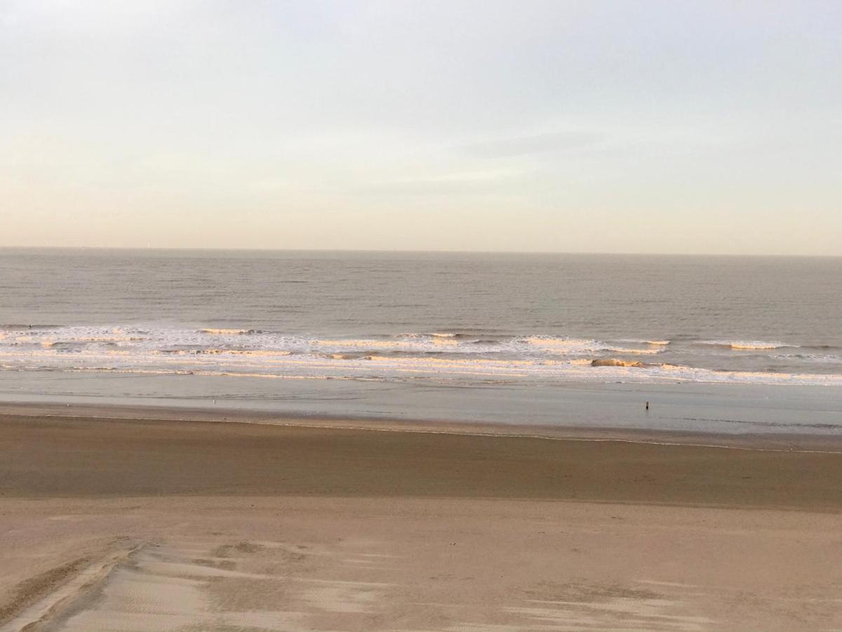 Sea And Dunes *